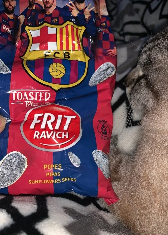 Pipas