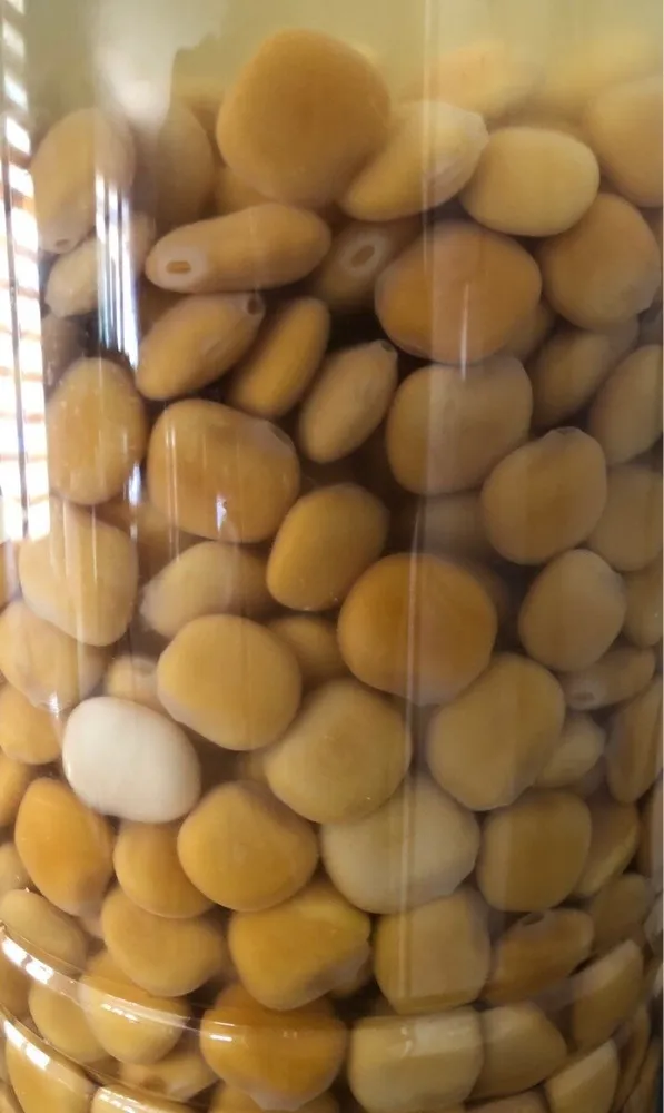 Lupins