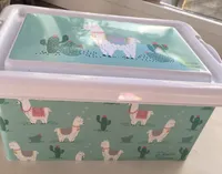 Caja contenedor llamas M.limn y chocolate