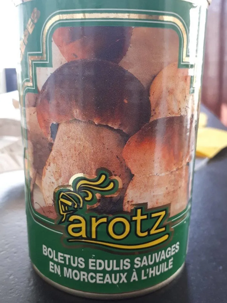Boletus edulis sauvages en morceaux à l'huile