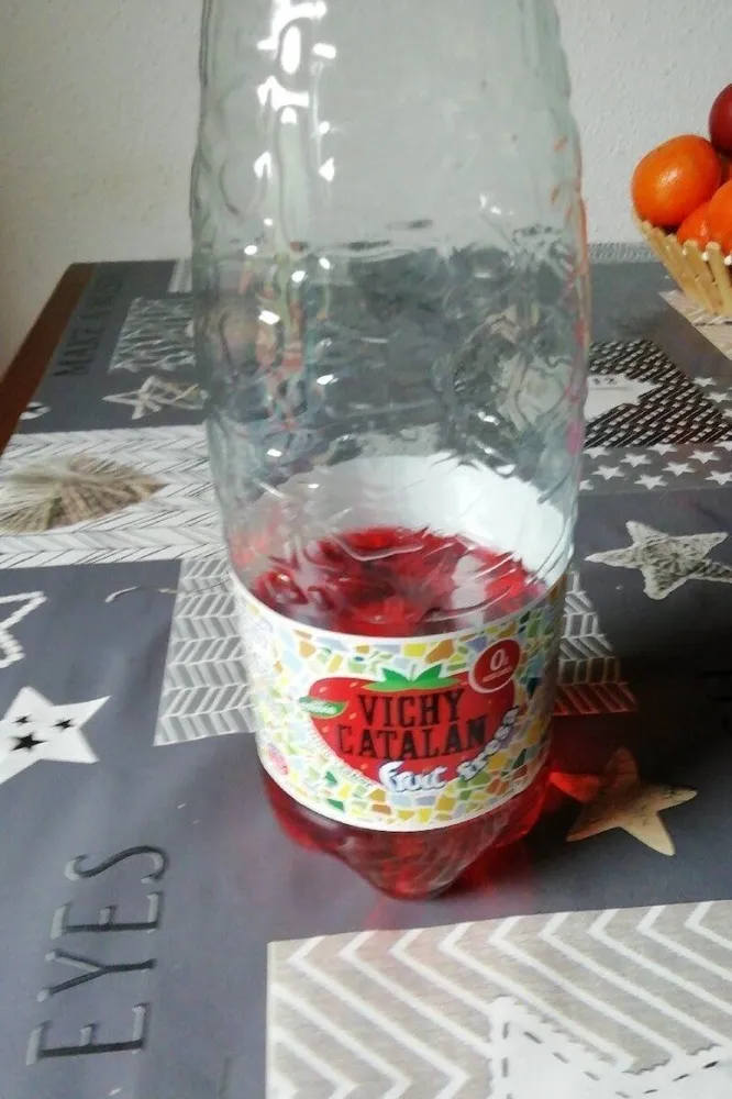 Vichi catalán fruit fresa