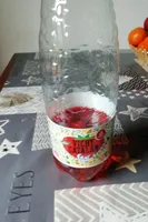 Vichi catalán fruit fresa