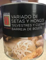 Variado de setas y hongos
