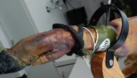 Jamón legado ibérico 50