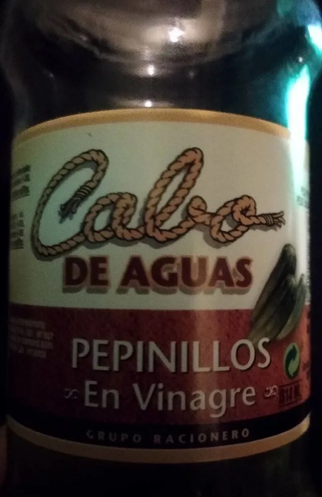 Pepinillos en vinagre