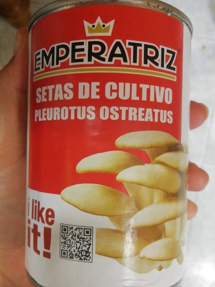Emperateiz setas pleurotus ostreatus