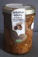 Boletus edulis