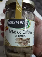 Setas de Cultivo al natural