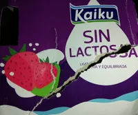 Yogur Fresa sin Lactosa