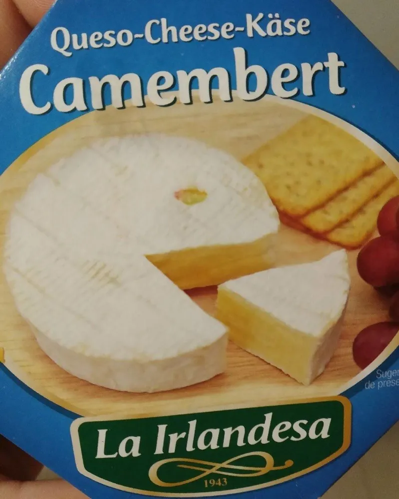 Queso Camembert
