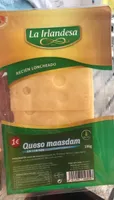 Queso massdam