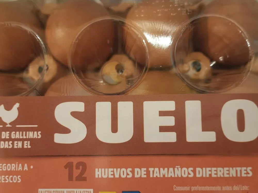 Huevos Suelo 12