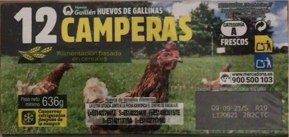 Huevo de gallinas 12campers