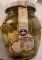 Volvariella Fredolic primera