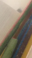 Jumbo twist tutti frutti