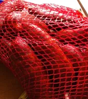 Chorizo