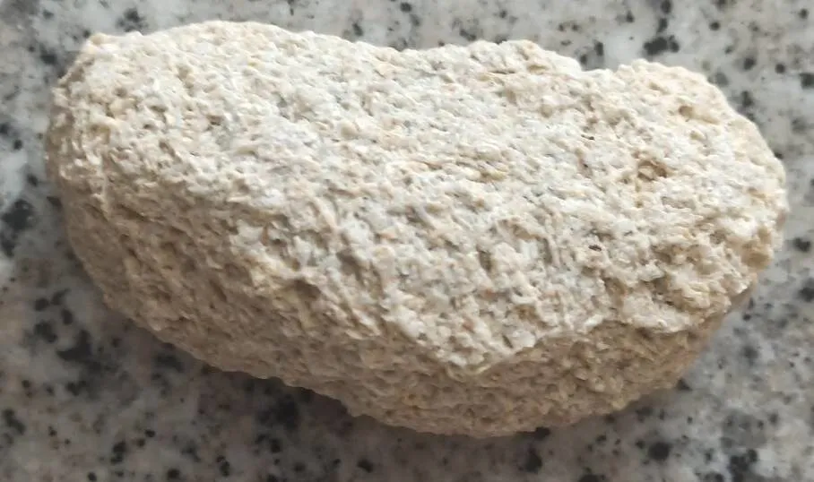 Bolas de Camello