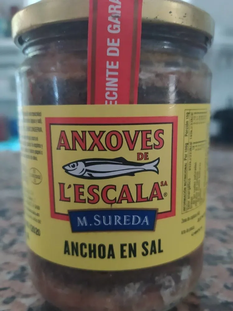 Filetes de anchoa salazón
