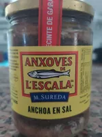 Filetes de anchoa salazón