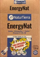 EnergyNat