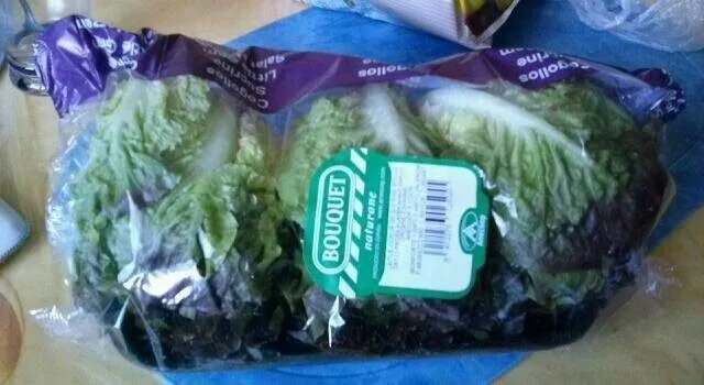 Salade coeur sucrine rouge
