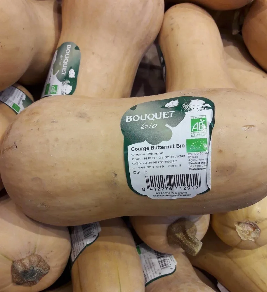 Courge butternut