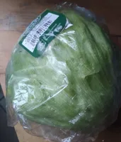 Laitue Iceberg