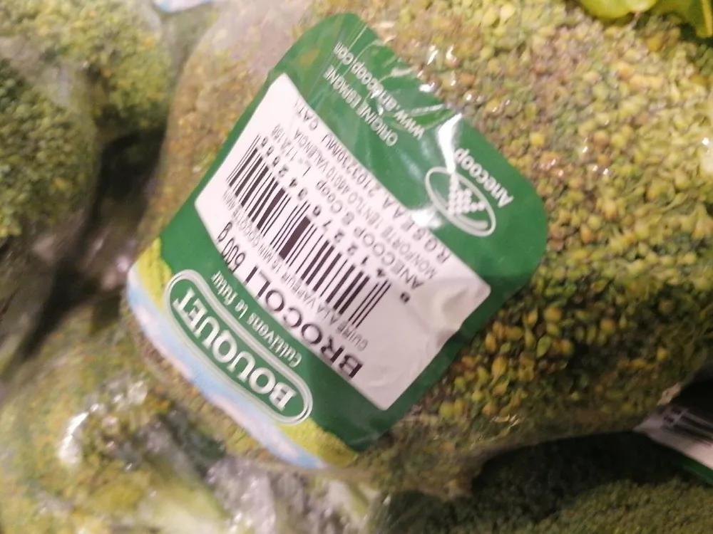 Chou brocoli