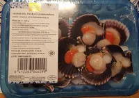 Vieiras del Pacífico