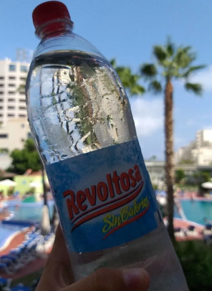 Revoltosa
