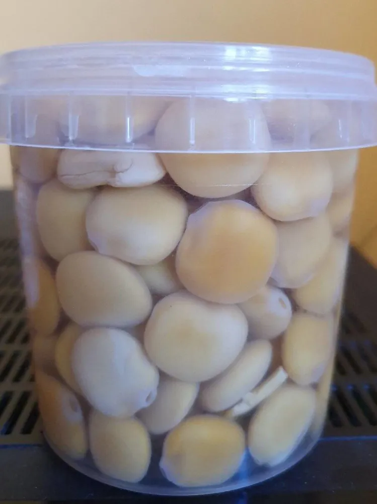 Altramuces