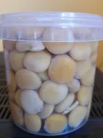 Altramuces