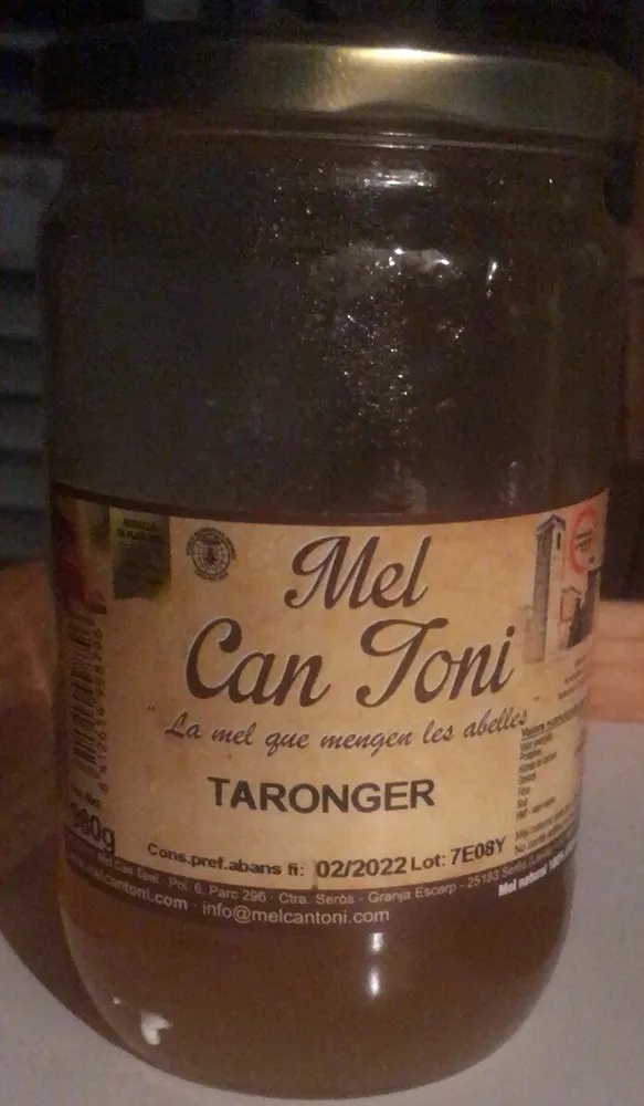 Mel Can Toni