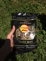 Pipas