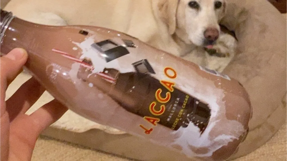Batido de cacao