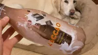 Batido de cacao