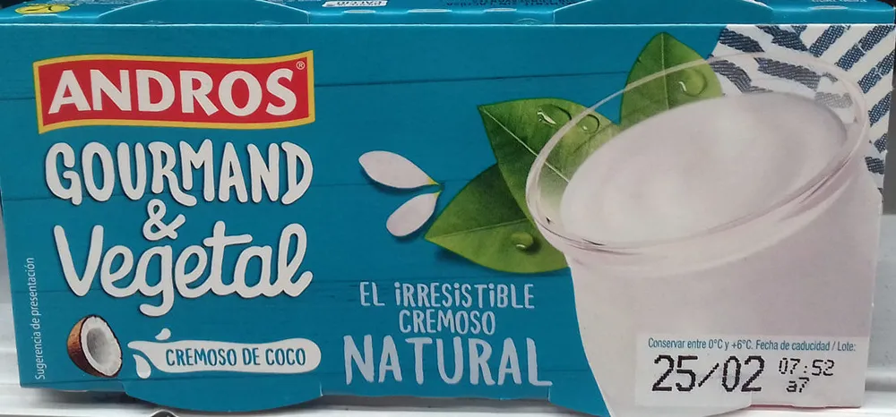 Cremoso de coco