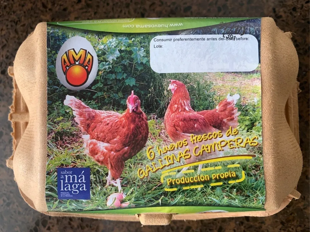 Huevos Camperos