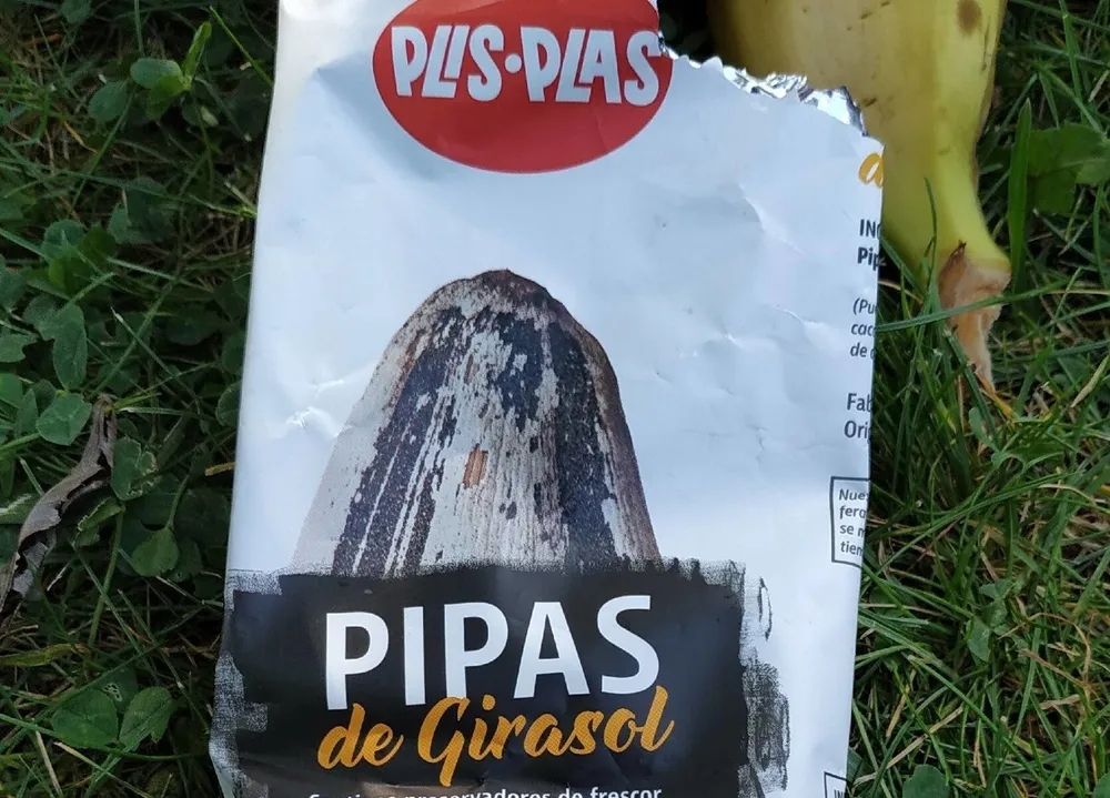 Pipas girasol