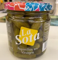 Pepinillos en vinagre