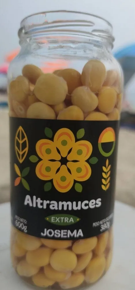 Altramuces