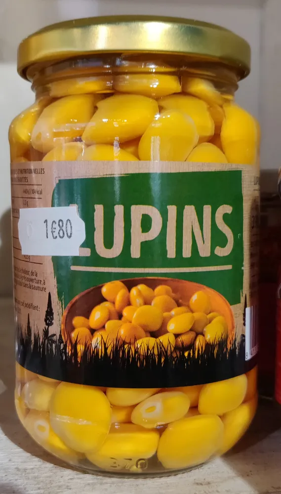 Lupins