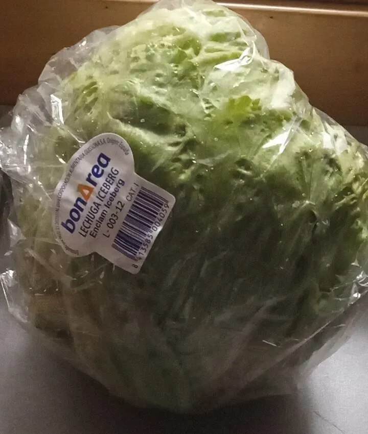 Lechuga iceberg