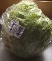 Lechuga iceberg
