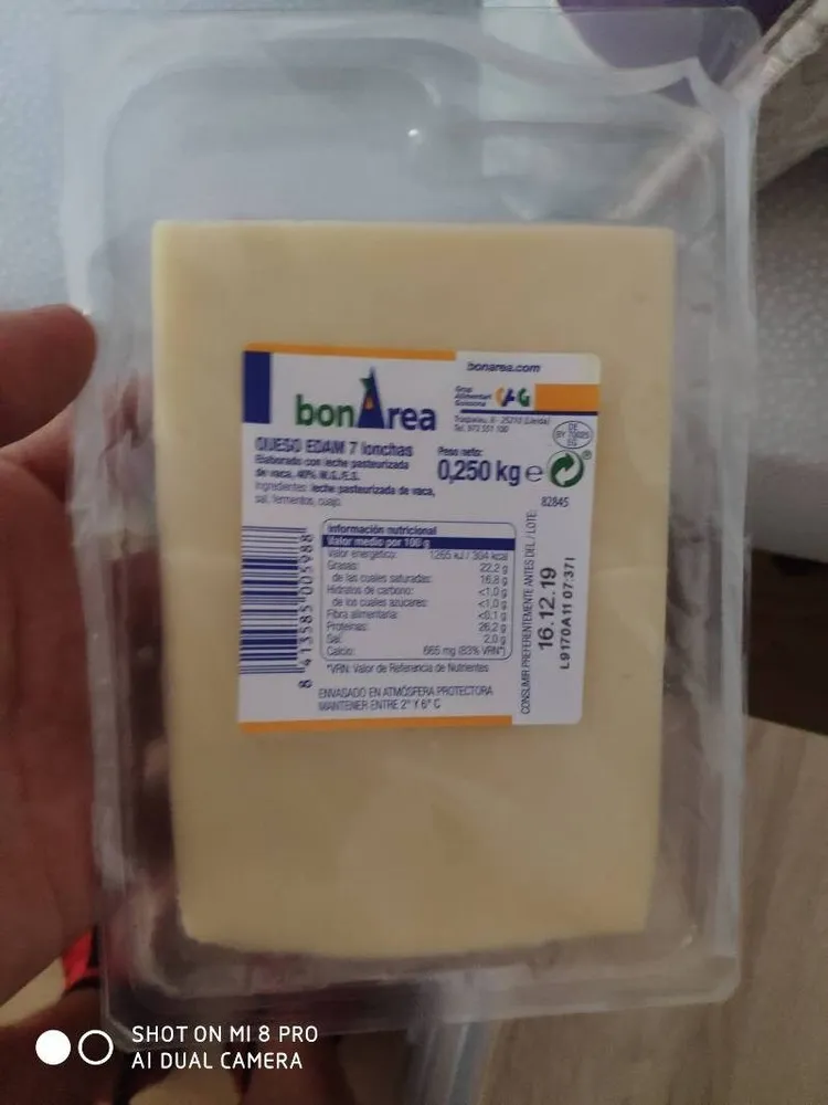 Queso edam lonchas