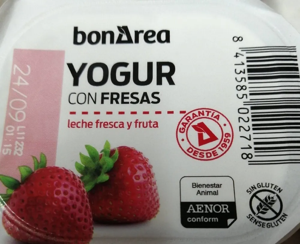 Yogur con fresas