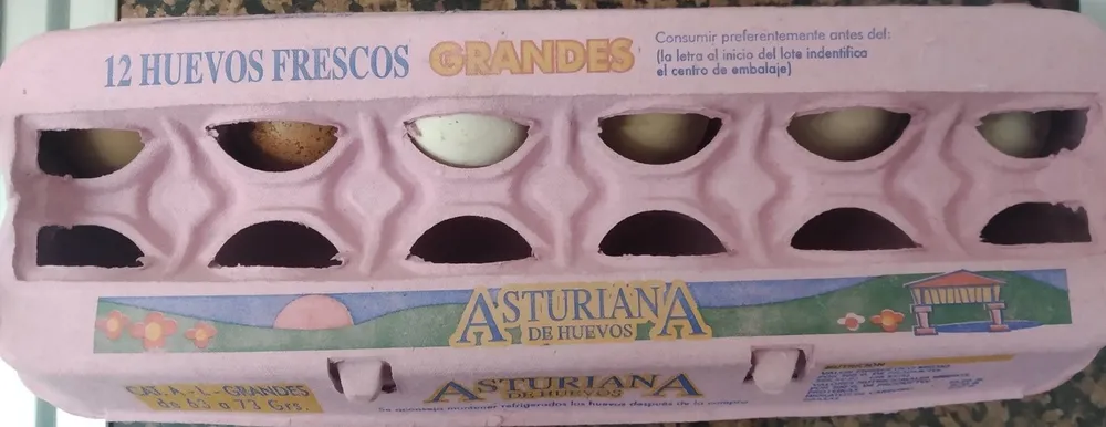 Huevos frescos