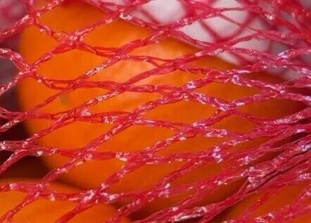 Orange sanguinelli origine Espagne