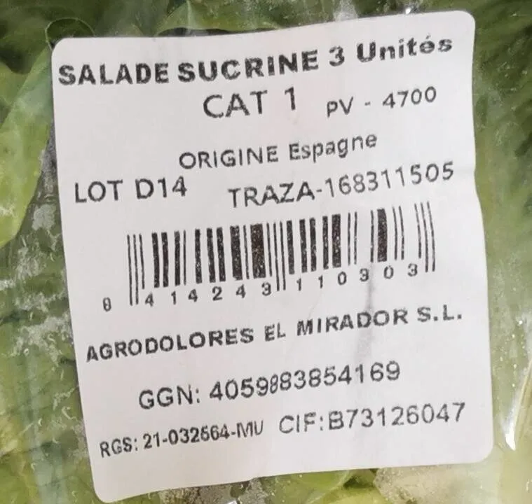 Salade sucrine