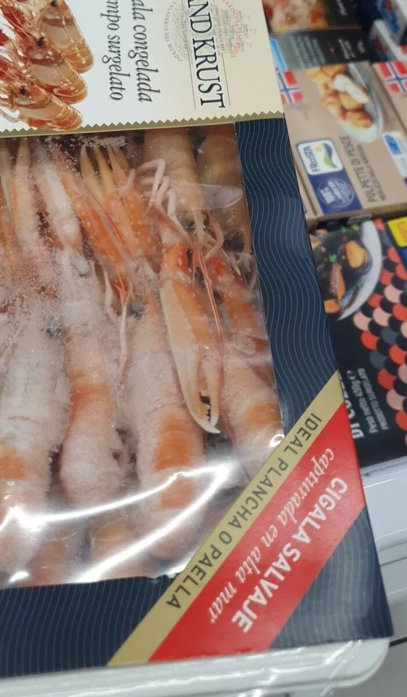 Scampi